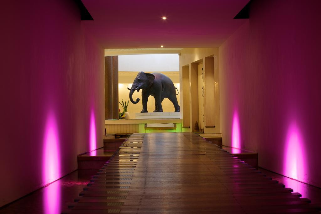 Seaham Hall And Serenity Spa 외부 사진